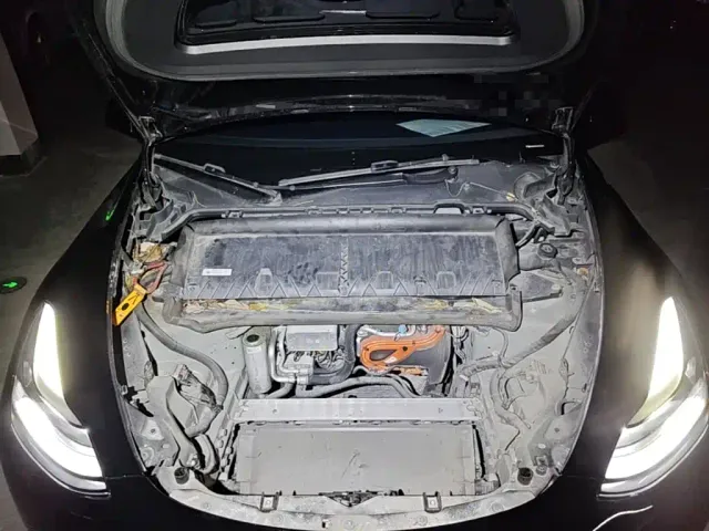 Tesla Model Y — Фото автомобиля 19