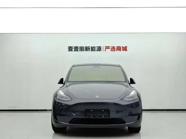 Tesla Model Y — Фото автомобиля 2