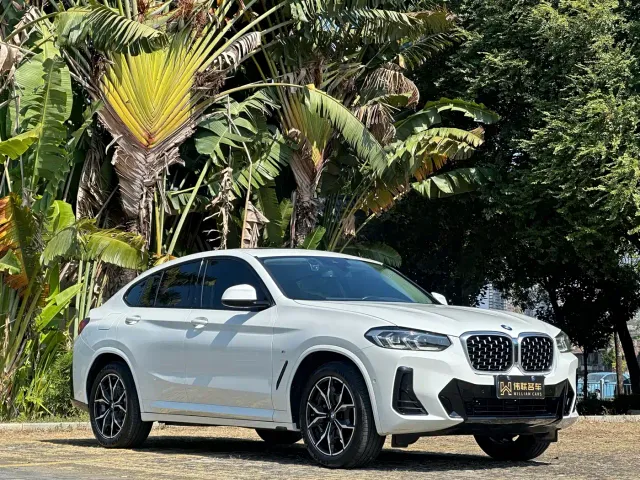 BMW X4 — Фото автомобиля 3