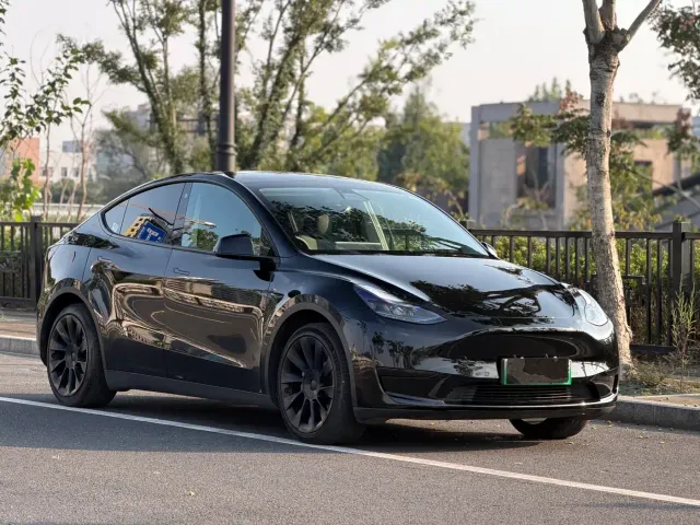Tesla Model Y — Фото автомобиля 3