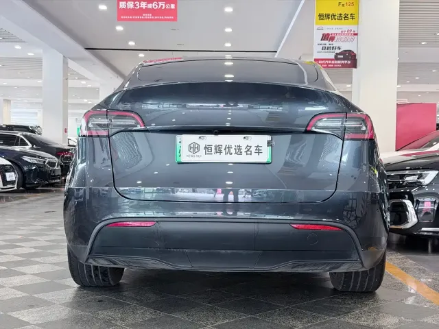 Tesla Model Y — Фото автомобиля 3