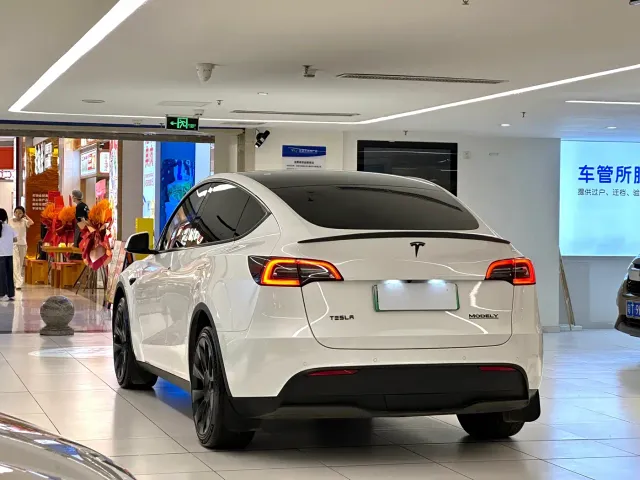 Tesla Model Y — Фото автомобиля 5