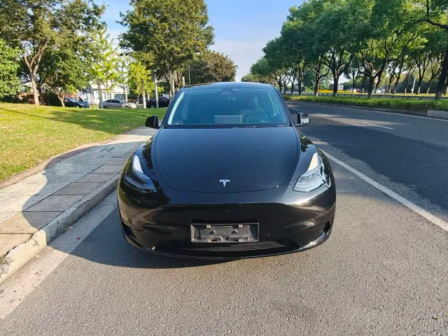 Tesla Model Y — Фото автомобиля 2