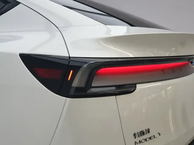 Tesla Model Y — Фото автомобиля 9