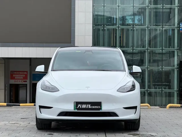 Tesla Model Y — Фото автомобиля 4