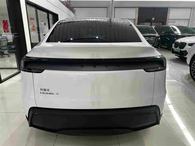 Tesla Model Y — Фото автомобиля 19