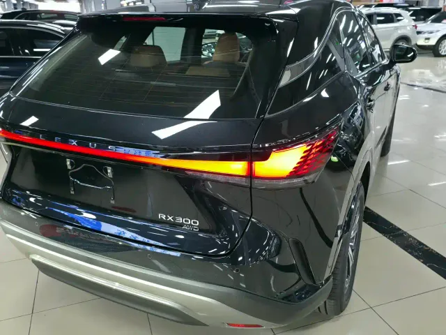 Lexus RX — Фото автомобиля 8