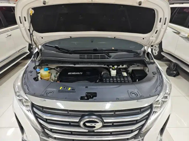 GAC Trumpchi M8 — Фото автомобиля 19