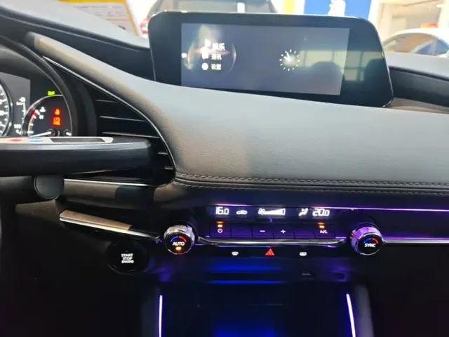 Mazda Axela — Фото автомобиля 12
