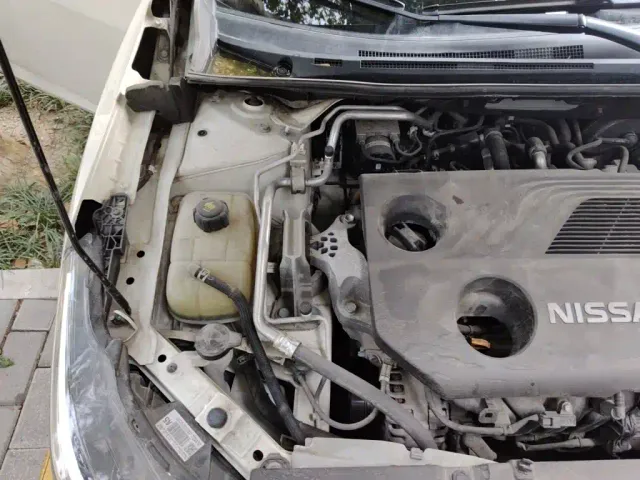 Nissan Sylphy — Фото автомобиля 20