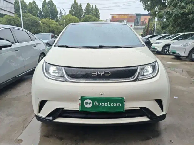 BYD Dolphin — Фото автомобиля 2