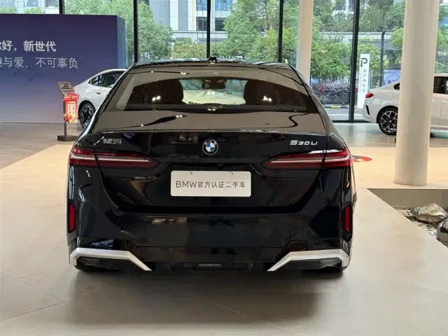 BMW 5 Series — Фото автомобиля 8