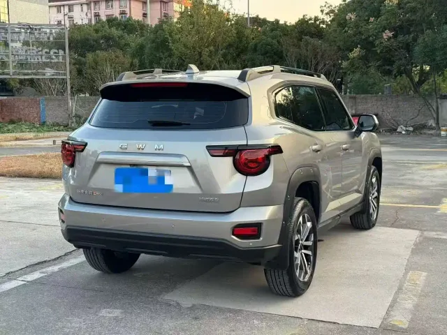 Haval Big Dog — Фото автомобиля 9