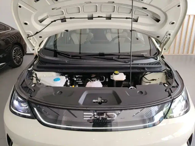 BYD Dolphin — Фото автомобиля 19