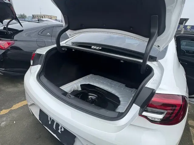Buick Regal — Фото автомобиля 18