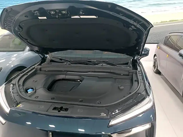 Wey Lanshan — Фото автомобиля 19