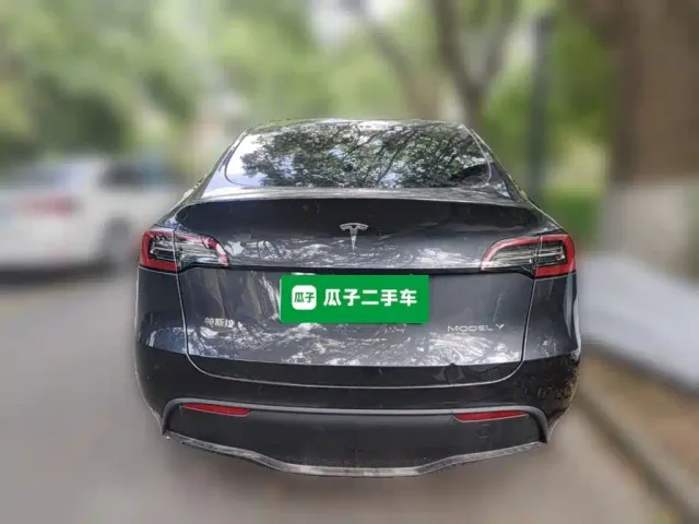 Tesla Model Y — Фото автомобиля 3