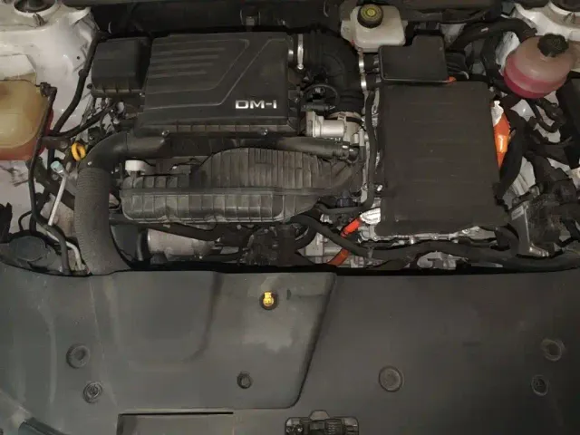 BYD Destroyer 05 2022 DM-i 55KM Premium — Фото автомобиля 21
