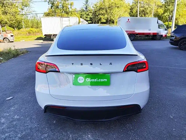 Tesla Model Y — Фото автомобиля 5
