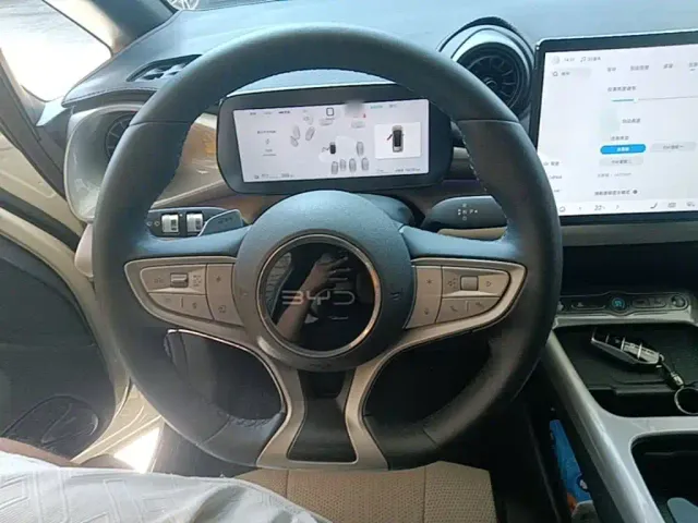 BYD Dolphin — Фото автомобиля 10