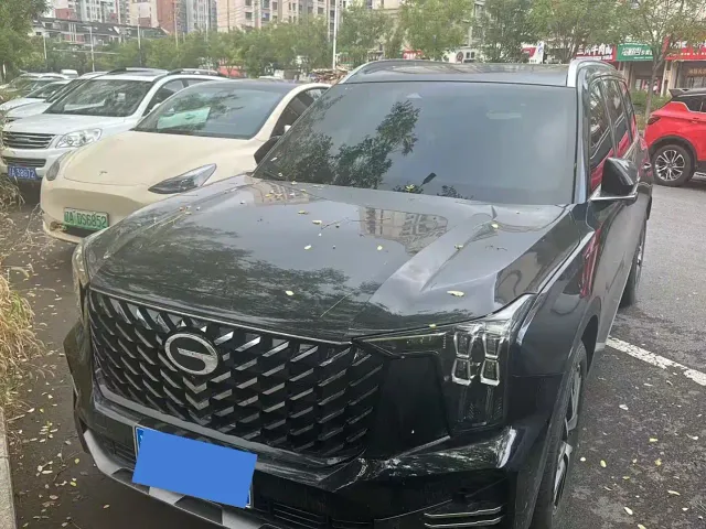 Фотография автомобиля — GAC Trumpchi GS8