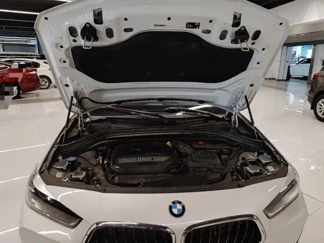 BMW X2 — Фото автомобиля 19