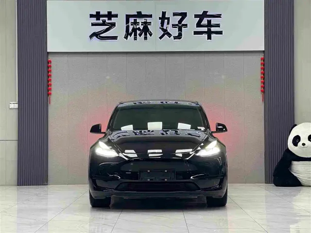 Tesla Model Y — Фото автомобиля 2