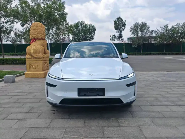 Tesla Model Y — Фото автомобиля 2