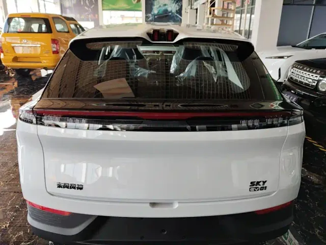 Dongfeng SKY EV01 — Фото автомобиля 5