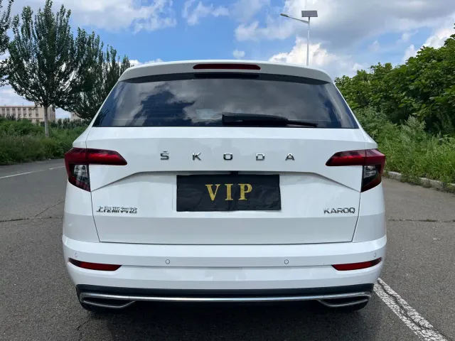 Skoda Karoq — Фото автомобиля 6