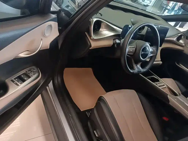 BYD Dolphin — Фото автомобиля 15