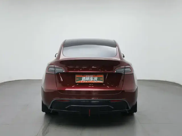 Tesla Model Y — Фото автомобиля 4