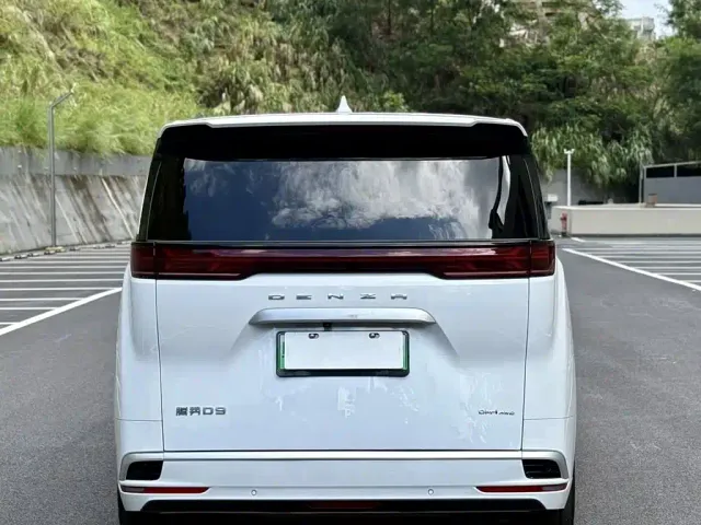 Denza Denza D9 2024 DM-i 980 AWD Prestige — Фото автомобиля 8