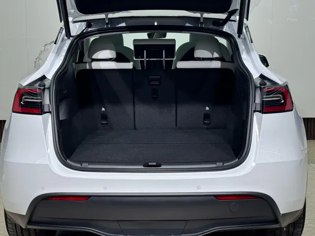 Tesla Model Y — Фото автомобиля 21