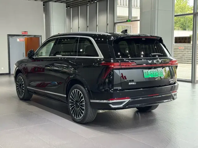 Wey Lanshan — Фото автомобиля 7