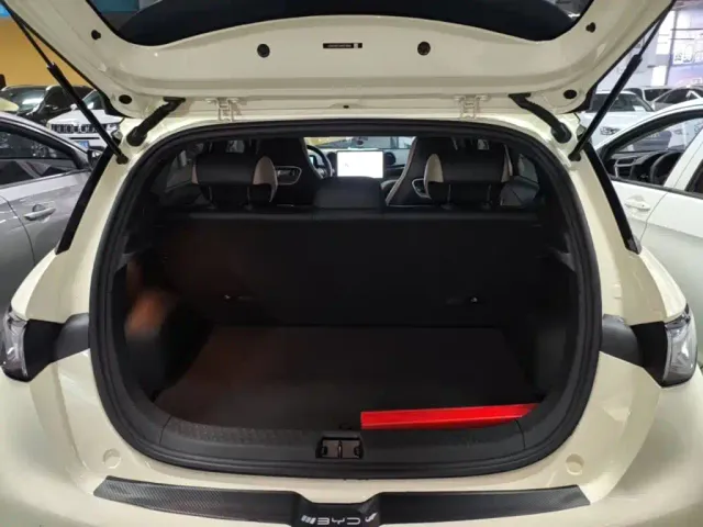 BYD Dolphin — Фото автомобиля 18