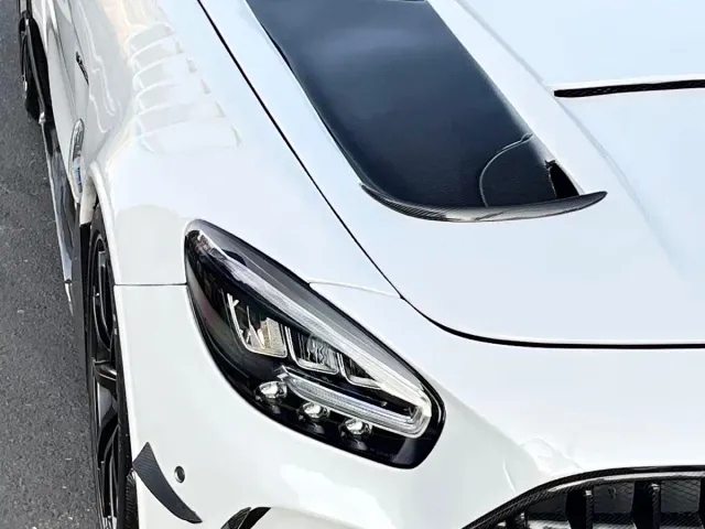 Mercedes-Benz AMG GT 2019 AMG GT — Фото автомобиля 13