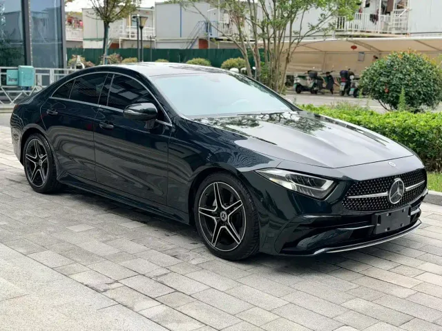 Mercedes-Benz CLS-Class — Фото автомобиля 2