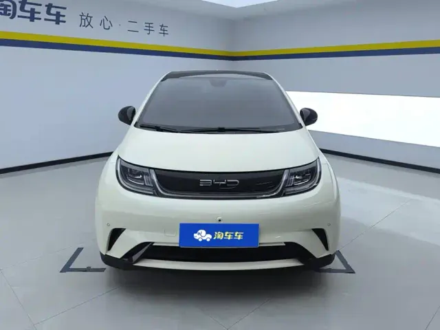 BYD Dolphin — Фото автомобиля 2