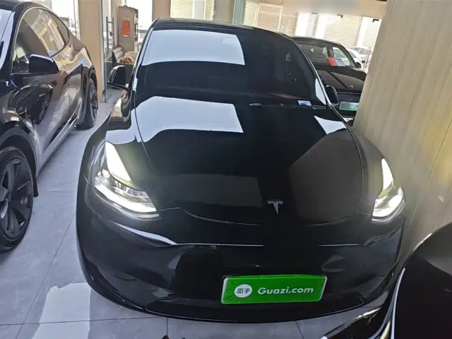 Tesla Model Y — Фото автомобиля 2