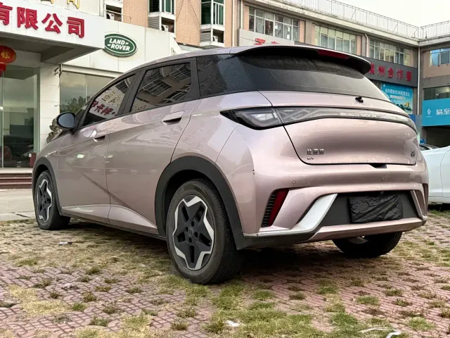 BYD Dolphin — Фото автомобиля 9