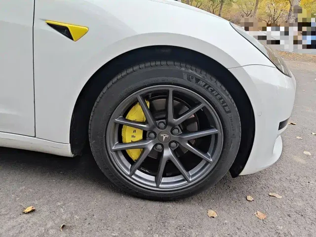 Tesla Model 3 — Фото автомобиля 8