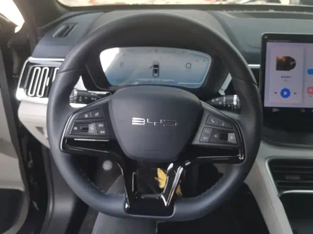 BYD Song PLUS — Фото автомобиля 15
