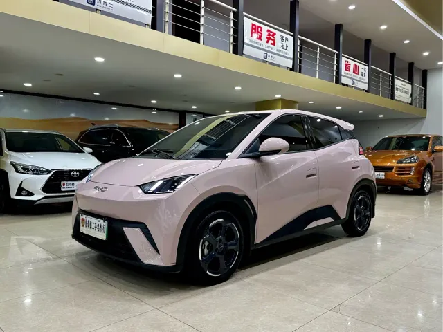 Фотография автомобиля — BYD Seagull