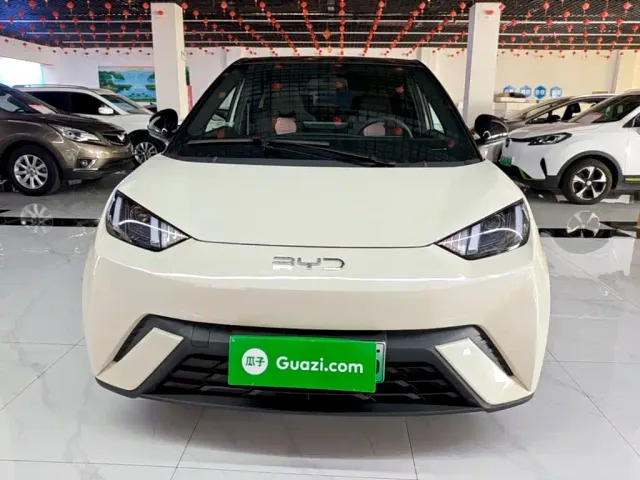 BYD Seagull — Фото автомобиля 2