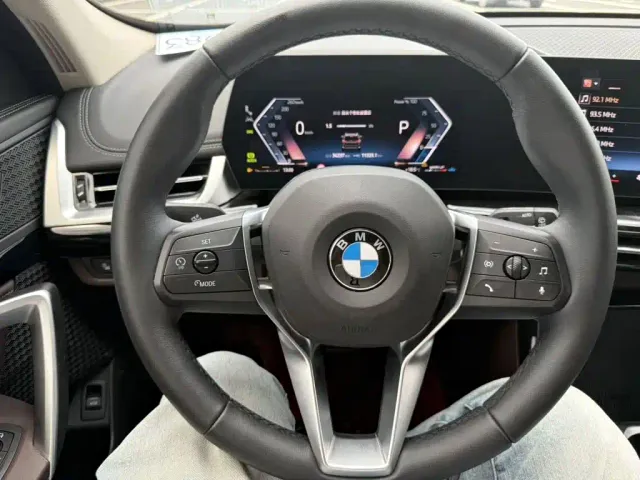 BMW X1 — Фото автомобиля 14