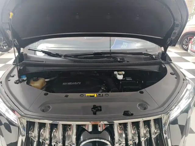 GAC Trumpchi M8 — Фото автомобиля 19