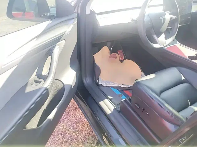 Tesla Model Y — Фото автомобиля 15