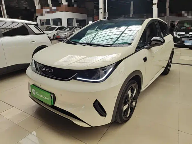Фотография автомобиля — BYD Dolphin