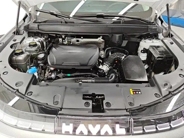 Haval Xiaolong MAX — Фото автомобиля 10